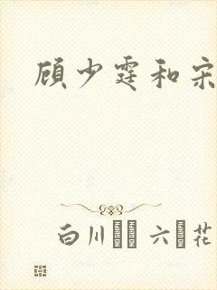 顾少霆和宋斯曼