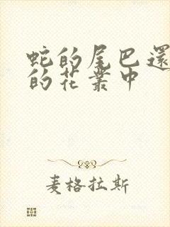 蛇的尾巴还在我的花丛中