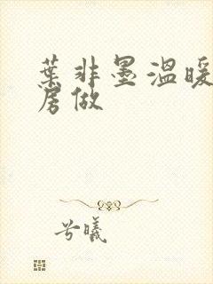 叶非墨温暖在厨房做