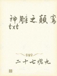 神雕之颠鸾倒凤txt