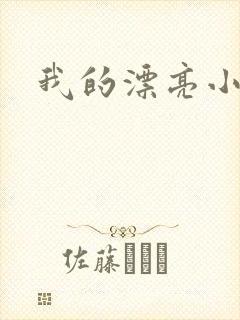 我的漂亮小后妈