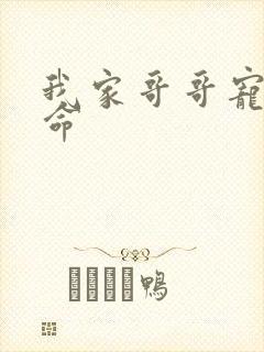 我家哥哥宠妹如命