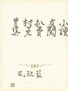 农村扒灰小说全集免费阅读