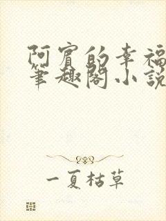 阿宾的幸福生活笔趣阁小说