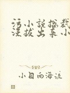 污小说总裁整夜没拔出来小说在线阅读