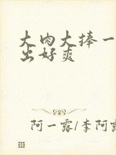 大肉大捧一进一出好爽