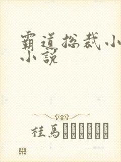 霸道总裁小娇妻小说