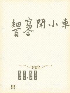 细写开小车车的百合