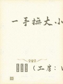 一手抚大小说