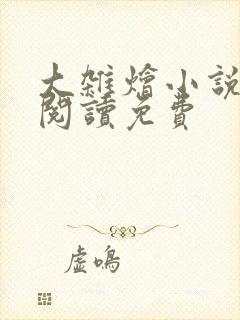 大杂烩小说全集阅读免费