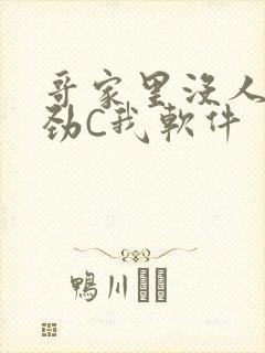 哥家里没人使点劲C我软件