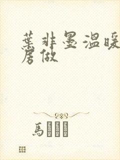 叶非墨温暖在厨房做