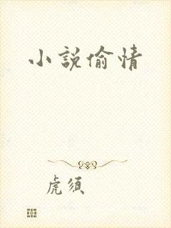 小说偷情