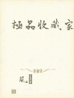 极品收藏家