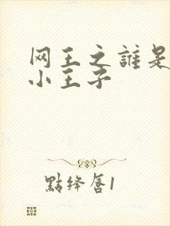 网王之谁是我的小王子