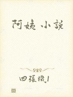 阿姨 小说