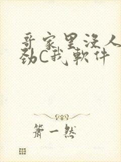 哥家里没人使点劲C我软件