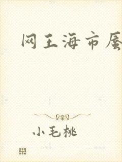 网王海市蜃楼