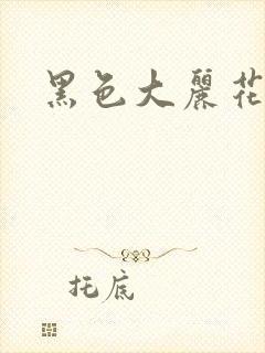 黑色大丽花图片