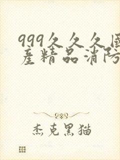 999久久久国产精品消防器材