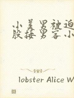 小美男被迫卖屁股接男客小说