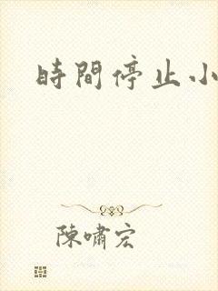时间停止小说