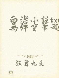 白洁小说txt无弹窗笔趣阁