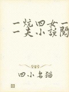 一炕四女一共侍一夫小说阅读