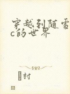 穿越到随处可以c的世界