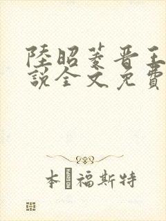 陆昭菱晋王的小说全文免费阅读