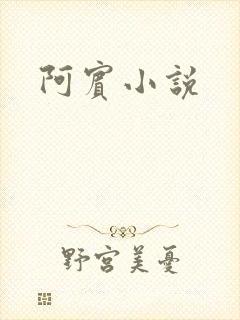 阿宾小说