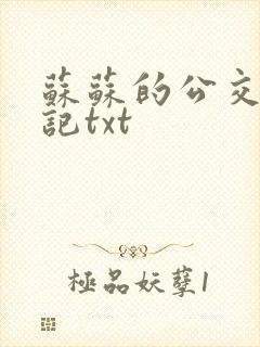 苏苏的公交车日记txt