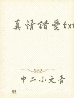 真情错爱txt