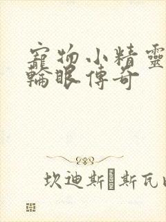 宠物小精灵之写轮眼传奇