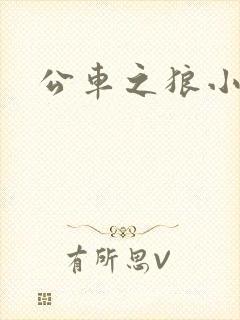 公车之狼小说