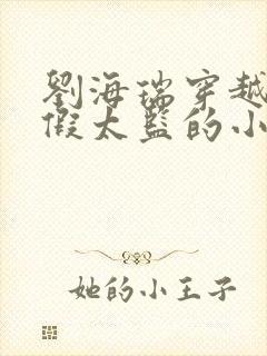 刘海瑞穿越后宫假太监的小说