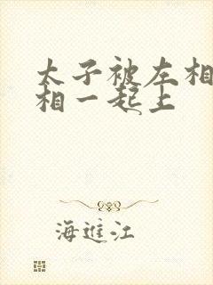 太子被左相和右相一起上