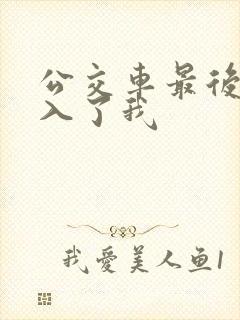 公交车最后一排入了我