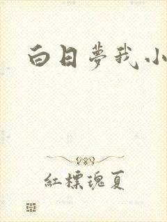 白日梦我小说