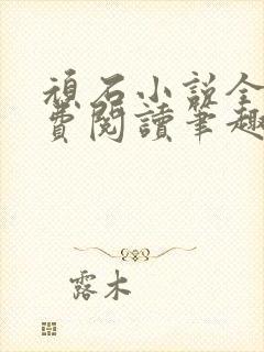 顽石小说全文免费阅读笔趣阁