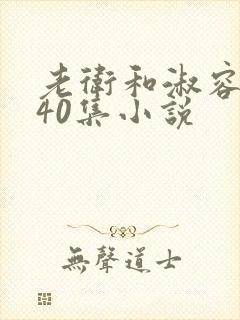 老卫和淑容1-40集小说