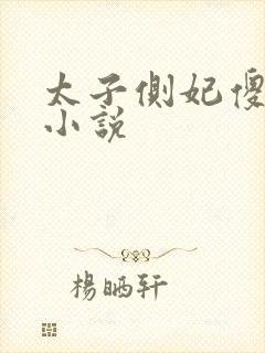 太子侧妃傻乎乎小说