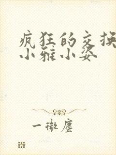疯狂的交换小静小雅小姿