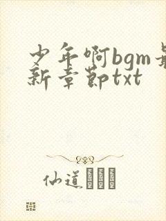 少年啊bgm最新章节txt
