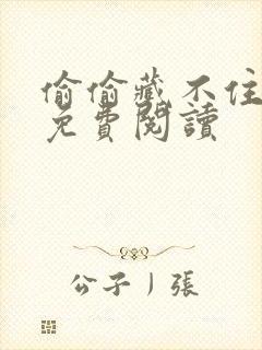 偷偷藏不住小说免费阅读