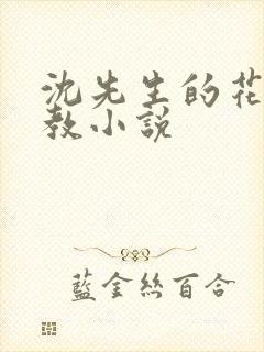 沈先生的花式调教小说