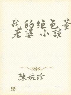 我的绝色董事长老婆 小说