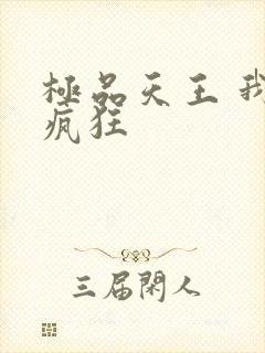 极品天王 我本疯狂