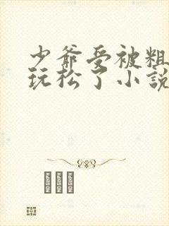 少爷受被粗汉H玩松了小说