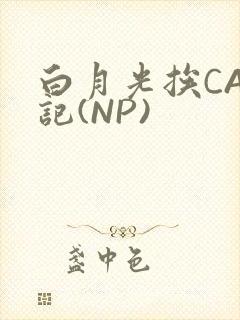 白月光挨CAO记(NP)